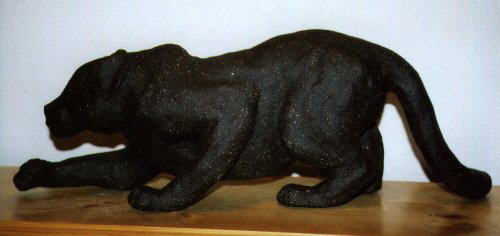 Schwarzer Panther (1998)