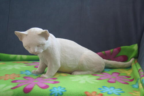 Lauernde Katze (2009)